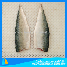 Filete de pescado congelado iqf mackerel